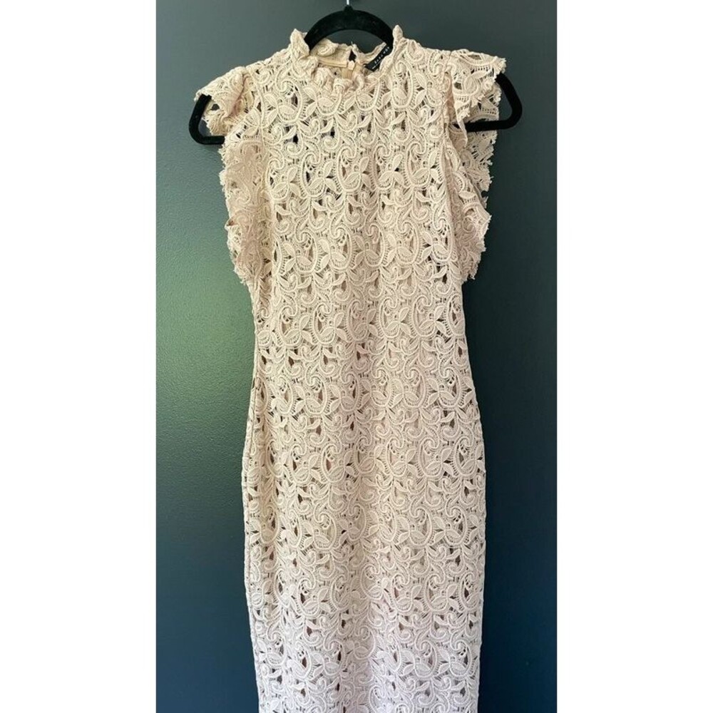 Zara Dress Elegant Dress